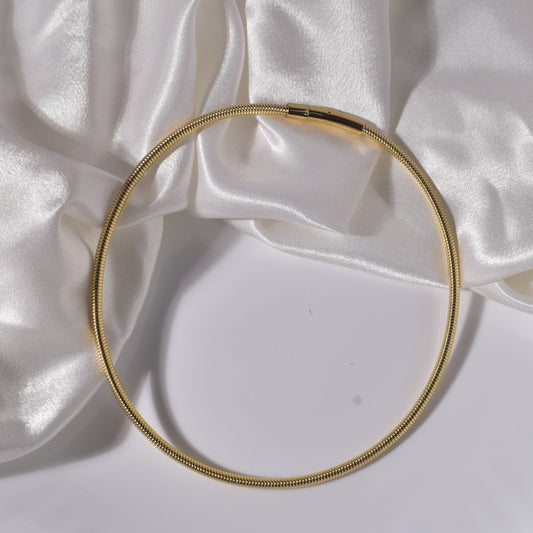 Sleek Gold Choker