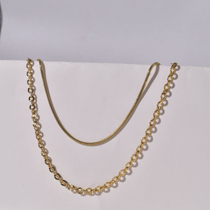 Gold Chain Necklace with Two Layers: Stylish and Adaptable